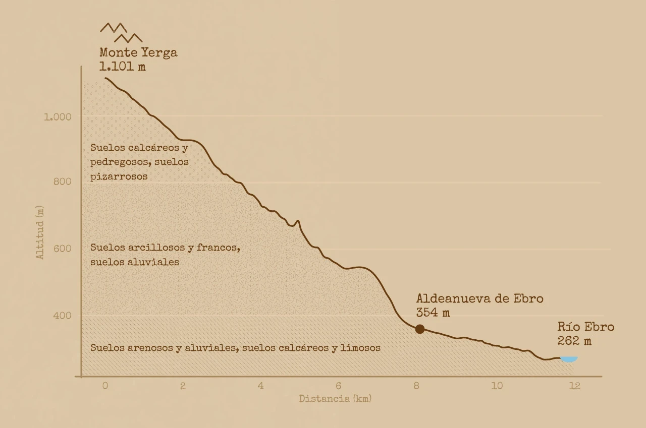 Gráfico Aldeanueva de Ebro